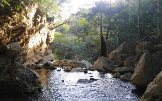 Presenta el proyecto de Ríos Mayas