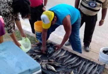 Buenas ventas de pescado al inicio de la Cuaresma