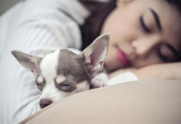 Las mujeres duermen mejor con su mascota que con su pareja, según estudio