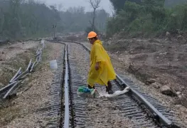 Cancela Fonatur licitación del Tren Maya