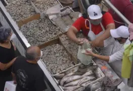 Venta de pescados y mariscos ha sido esplendida en el mercado José María Pino Suárez