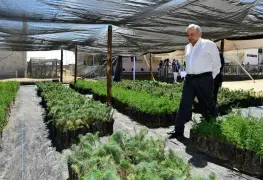 Busca México acelerar su impulso Sembrando Vida a Centroamérica