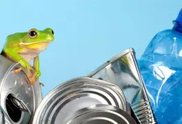 Qué es el efecto de la rana hervida