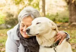 Gobierno de México presentara iniciativa al congreso para reconocer a los animales como seres sintientes