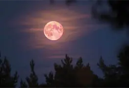 Te decimos cuando suceder&aacute; este fen&oacute;meno astron&oacute;micos la Superluna rosa y lluvia de estrellas L&iacute;ridas