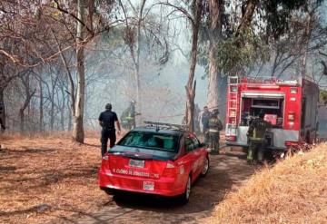 Reportan apagado al 100% el incendio en Bosque de Chapultepec