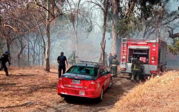 Reportan apagado al 100% el incendio en Bosque de Chapultepec