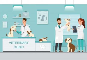 ¿Sabias que hoy es el Día del Veterinario?