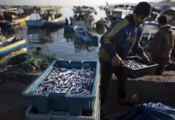 Israel cerró la zona de pesca de Gaza por lanzamiento de cohetes