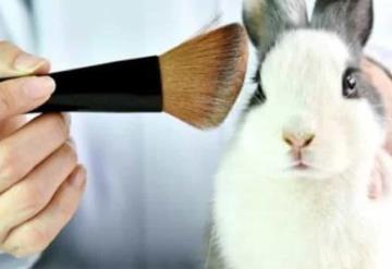 México prohíbe a las empresas de cosméticos hacer pruebas en animales