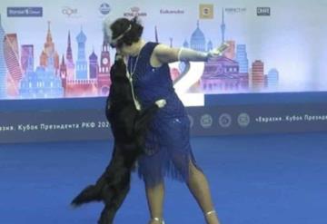 Vídeo: Concurso de baile con perros se vuelve viral en Rusia