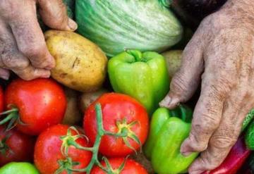 Desafíos mundiales de alimentación y hambre aumentarán mortalidad en 2050