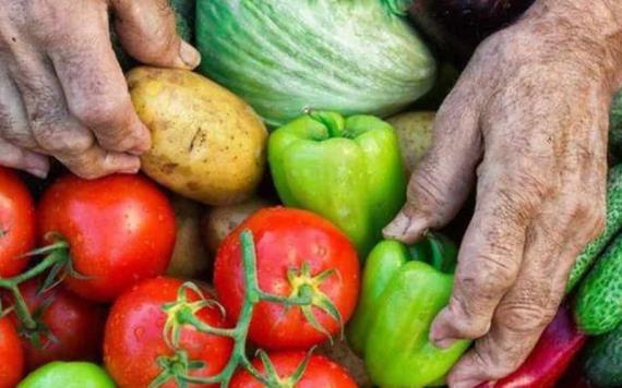 Desafíos mundiales de alimentación y hambre aumentarán mortalidad en 2050