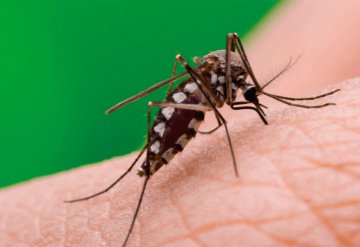 Incrementan casos de dengue en Tabasco 