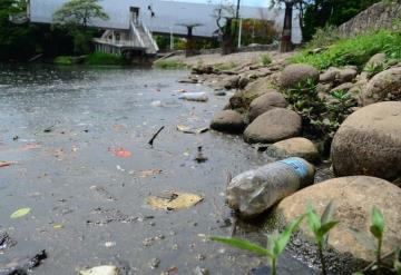 Falta de oxigenación, el problema en la Laguna de las ilusiones