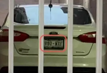 Identificadas placas del vehículo que atropelló a ´Fer´ y ´Polly´