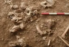 Descubren nueva especie de hombre prehistórico que data de hace más de 100 mil años