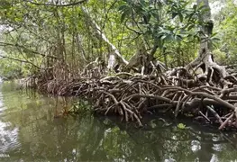 Mejoran econom&iacute;a en equilibrio ambiental