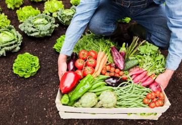 Una agricultura sustentable debe basarse en principios éticos, ambientales, sociales y económicos