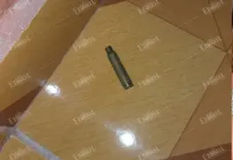 Ejecutan a una pareja en Cárdenas; menor de edad resulta herida