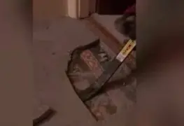 Encuentran un increíble tesoro debajo del suelo de su casa