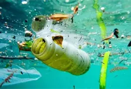 Microbios que se alimentan de pl&aacute;stico podr&iacute;an solucionar el problema de reciclaje