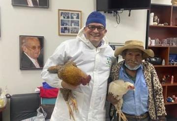 Un Abuelito paga a medico con gallinas por operación de Próstata