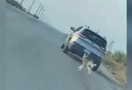 Detienen a hombre que abandonó a su perro en El Paso