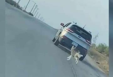 Detienen a hombre que abandonó a su perro en El Paso