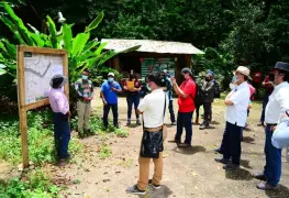 Turismo local se ha recuperado un 65%