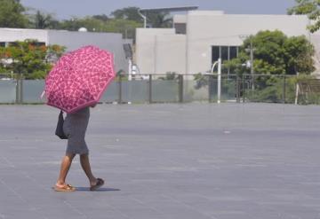 Periodo de canícula ´ha sido leve´: IPCET