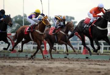 El dueño de un caballo y el jockey fueron imputados tras suministrar sustancias prohibidas al animal para ganar una carrera