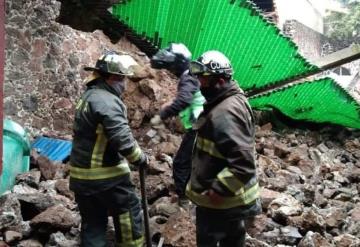 Mueren 4 perritos por caída de barda en refugio animal de Xochimilco