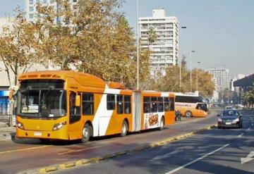 Empresa de transporte publico contrata a perros callejeros para hacerle compañía a los conductores y pasajeros