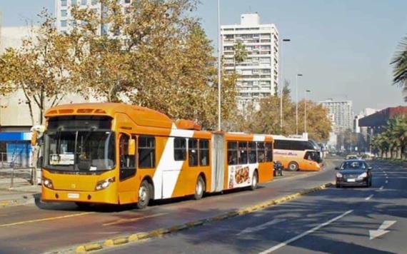 Empresa de transporte publico contrata a perros callejeros para hacerle compañía a los conductores y pasajeros