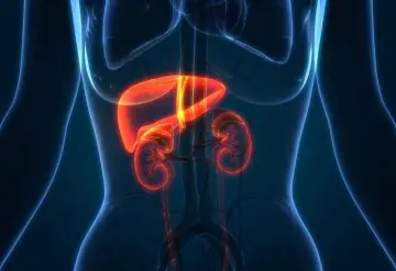 Riñones: de la infección urinaria al hospital