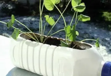 Promueven la reutilización de plástico que termina en los océanos para productos