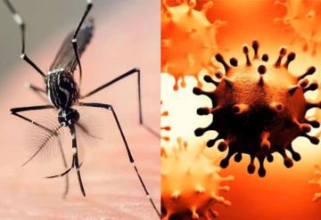 Alertan por posibles contagios de COVID y Dengue al mismo tiempo