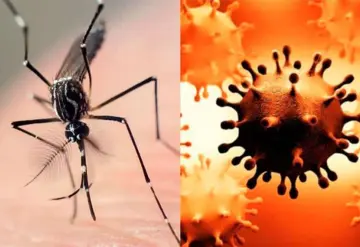 Alertan por posibles contagios de COVID y Dengue al mismo tiempo