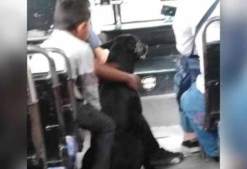 Los conductores se mueven; deje que los niños de bajos ingresos lleven a sus perros al camión