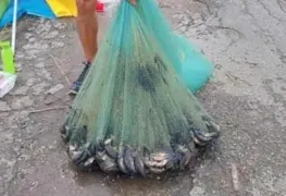 Abunda TOPEN en pantanos de Centla