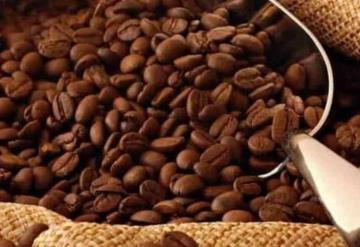 Producción de café en el Estado de Chiapas debe venderse a precio justo: Productores