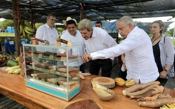 Sembrando vida, primer creador de empleos en el campo