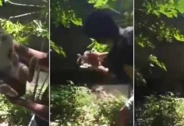 Jóvenes se graban maltratando a gato y arrojándolo a canal de aguas negras