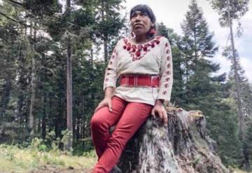 Desaparece defensora mixteca del bosque en Oaxaca; emiten alerta rosa
