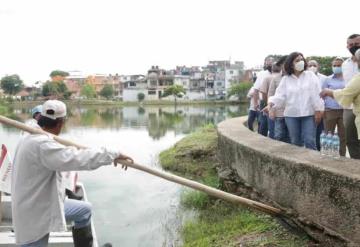 Se reúne Yolanda Osuna Huerta con vecinos de la colonia Nueva Villahermosa