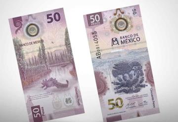 Tiktoker muestra detalles ocultos en billetes de 50 pesos mexicanos