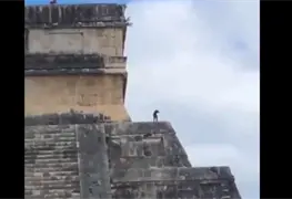 Perrito es visto en la cima de ruinas de Chichen Itz&aacute;