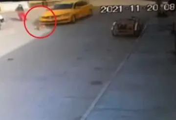 Taxista podría recibir sanción penal tras atropellar a perro en Oaxaca
