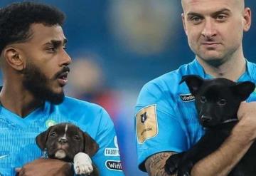 Jugadores salen al campo con perritos que buscan hogar